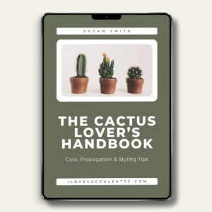 The Cactus Lover's Handbook ebook cover